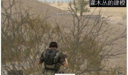 吃鸡端游皮肤爆料最新,炫酷造型，等你来战！