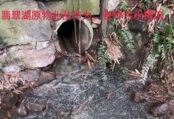 今日头条污染爆料,揭秘环境污染背后的惊人真相