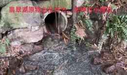 今日头条污染爆料,揭秘环境污染背后的惊人真相