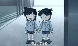 小兰花月尊八卦爆料最新,最新爆料背后的神秘力量