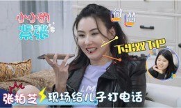 明星最怕什么爆料呢视频,隐私防线背后的真相