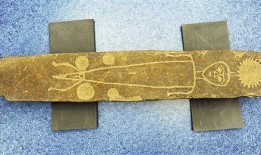 三娃躺着收蜂视频爆料,揭秘蜂群聚集的神秘瞬间