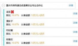 雷州英利最新爆料,揭秘项目进展与未来规划