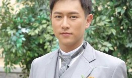 港台男星爆料事件视频大全,揭秘娱乐圈不为人知的秘密