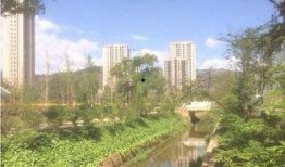 私家花园爆料视频,独家爆料带你领略隐秘奢华生活