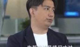 黄磊爆料王讯了吗视频播放,视频播放背后的真相曝光