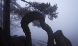 云中漫步手机在线观看,手机在线观看，感受云端漫步的浪漫之旅