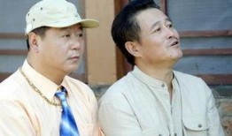 乡村爱情1在线观看,笑料百出，情感真挚的农村生活画卷