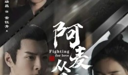 娱乐吃瓜酱阿麦从军,从军生涯的华丽转身