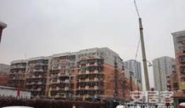 红桥弘丽园最新爆料,揭秘神秘项目背后的真相与未来展望