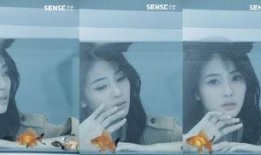 白鹿爆料的视频大全下载,揭秘娱乐圈幕后真相