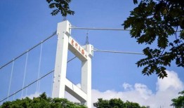 老虎门大桥爆料视频大全,揭秘工程背后的真相与争议