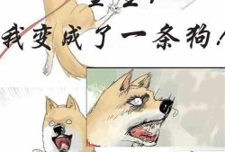 依依吃瓜全文免费阅读小说,娱乐圈幕后风云