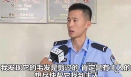 在派出所吃瓜当团宠免费阅读,团宠吃瓜记