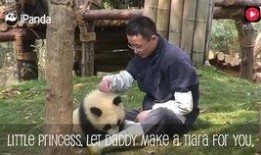 三八新皮肤爆料视频大全,视觉盛宴，尽享英雄风采