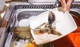 爆料网红美食视频大全集,一场味蕾的视觉盛宴