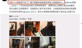 沾化出轨爆料事件视频,真相与舆论的漩涡