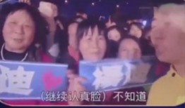 认错人最新大爆料在线观看,揭秘真相，在线观看不容错过