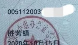 李先生爆料最新消息新闻,最新消息震惊业界，揭秘事件背后真相