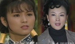 贵夫人电视剧在线观看,宫廷权谋与情感纠葛的华丽演绎