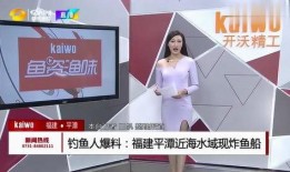 钓鱼爆料视频大全下载,揭秘钓鱼技巧与实战解析