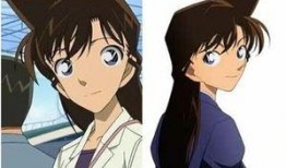 小兰花月尊八卦爆料最新,最新爆料背后的神秘力量