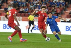 中国足球队爆料新闻报道,揭秘备战世界杯幕后故事