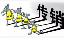 怎么爆料传销新闻最有效,如何高效爆料，助力打击非法传销