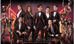 俱乐部在线观看全集,全景揭秘，在线观看全集，一场视觉盛宴