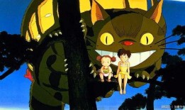 大龙猫爆料宝哥种菜视频