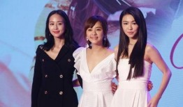 娱乐圈最新爆料合集视频,揭秘明星幕后真相与情感纠葛