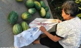 吃瓜最新事件爆料山西,吃瓜群众揭秘惊天大案！