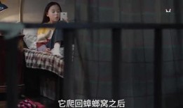 泰国小姐姐爆料视频大全,揭秘泰国生活点滴