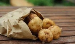 龙八夷土豆在线观看,揭秘神秘财阀家族的奇幻爱情之旅！