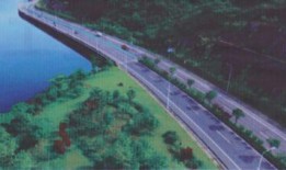 苍溪最新爆料,揭秘事件背后惊人真相