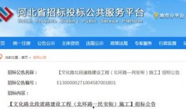 河北省委爆料最新消息今天,揭秘重大事件背后真相！”
