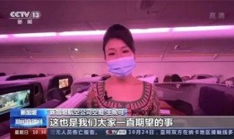 泰航空姐爆料视频大全,揭秘空中服务幕后真相