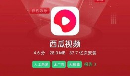 故事大王爆料视频大全,视频大全中的精彩瞬间