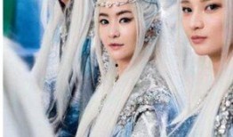 白发王妃在线观看,穿越时空的绝世传奇