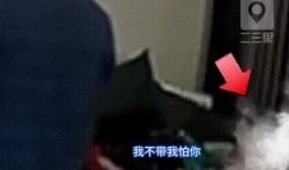 广东婆婆爆料视频最新,揭秘家庭琐事背后的温馨故事