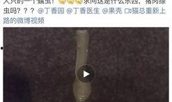 近日厦门网友爆料视频最新,视频内容引发网友热议！”
