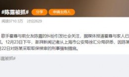 名星今日爆料视频最新消息,今日热点事件大曝光