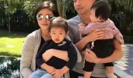 爆料汪小菲视频大全集,揭秘豪门生活点滴