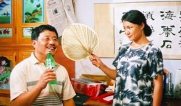 乡村爱情1在线观看,笑料百出，情感真挚的农村生活画卷