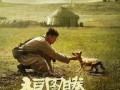 电影狼图腾在线观看,草原霸主传奇，在线观影之旅
