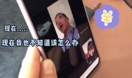 网上诈骗爆料视频大全,海量爆料视频大盘点