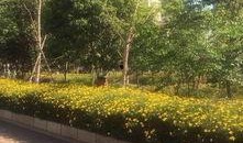 私家花园爆料视频,独家爆料带你领略隐秘奢华生活