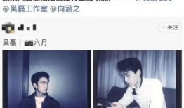 爆料王安宇的抖音视频,揭秘娱乐圈惊人内幕