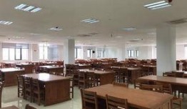 图书馆最新爆料,馆藏珍品与不为人知的秘密