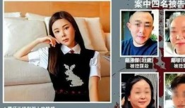 香港蔡天凤案件爆料视频,揭秘背后惊人内幕